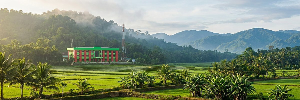 Rice terraces and the Municipal Hall of Malangas below a forested mountain ridge